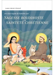 Livre : bouddhisme christianisme