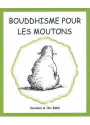 Livre bouddhiste des éditions Claire Lumière. humour, karma bouddhisme.