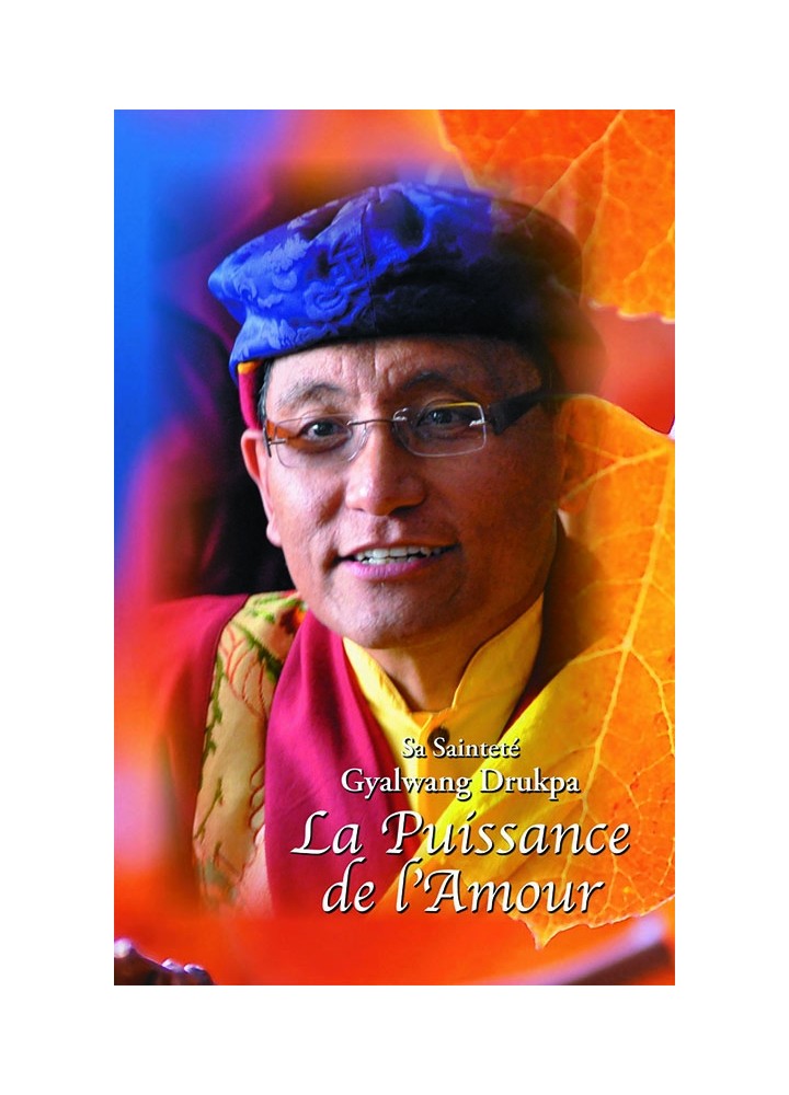 Livre des éditions Claire Lumière. Bouddhisme tibétain. Enseignement d'un grand maître sur la compassion et la sagesse