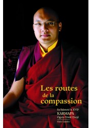 Livre des éditions Claire Lumière. Bouddhisme tibétain. Compassion, enseignement du Karmapa, grand maître bouddhiste